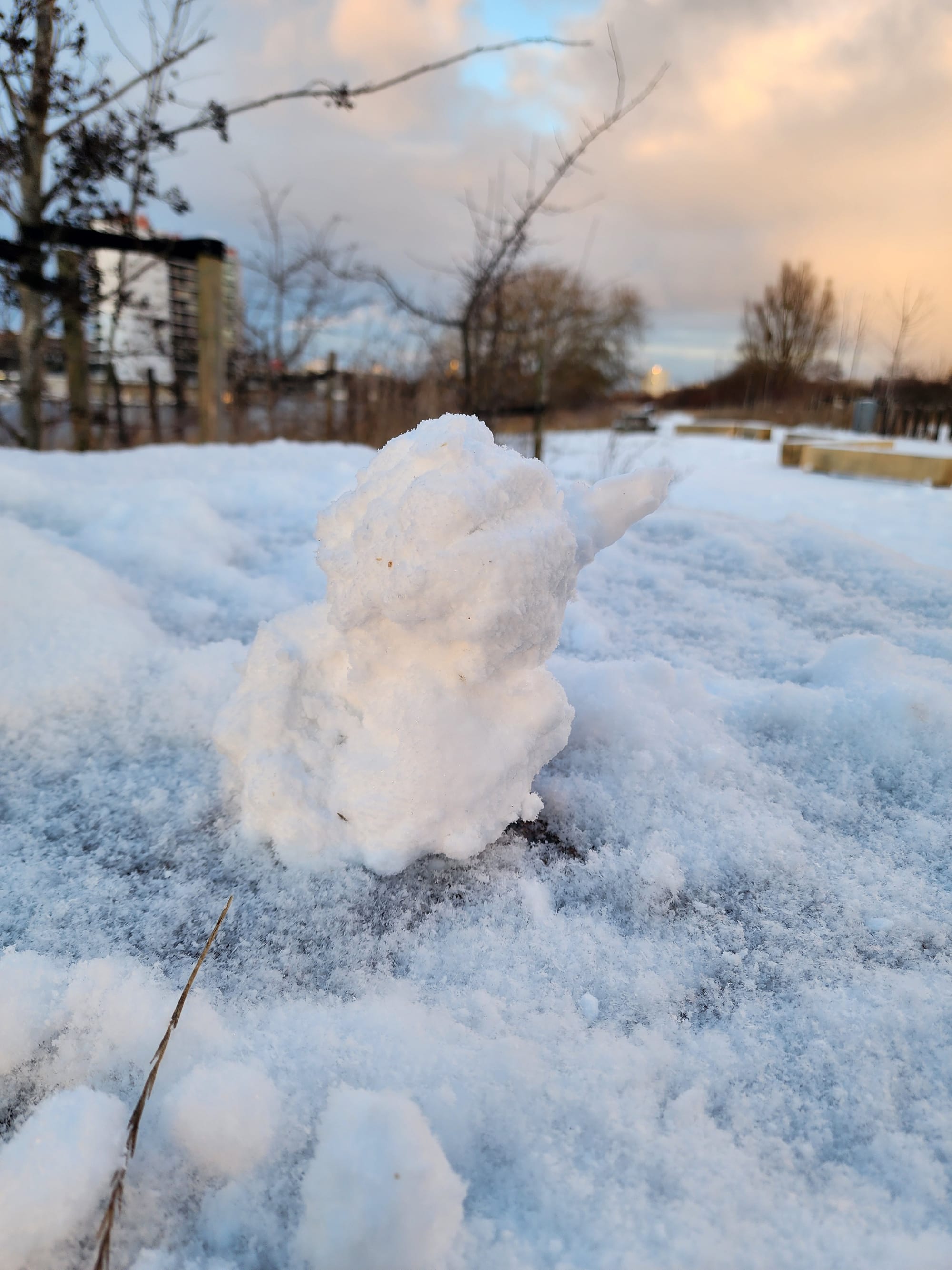 Snow formed into the shape of a duck